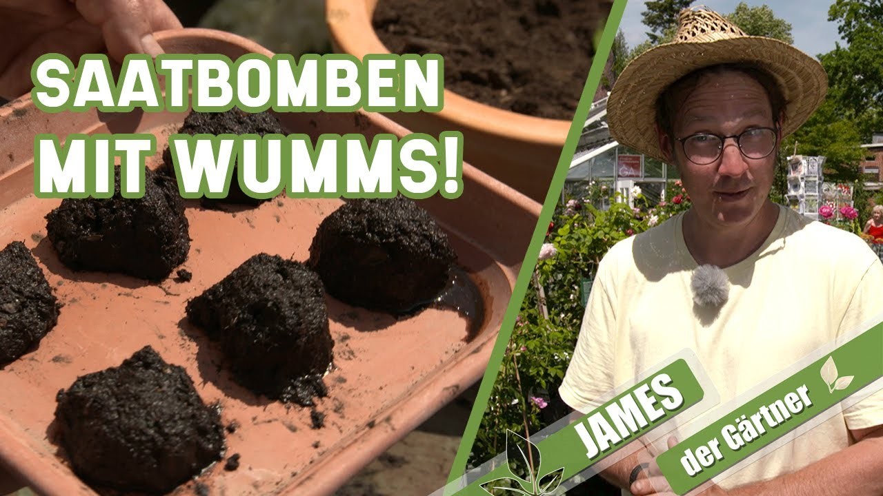 DIY: Aus Samen, Erde und Wasser Saatbomben selber machen | James der Gärtner