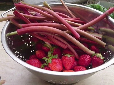 [vlog] Erdbeer-Rhabarbermarmelade, The return of the King und ein bisschen Gemüsegarten :)