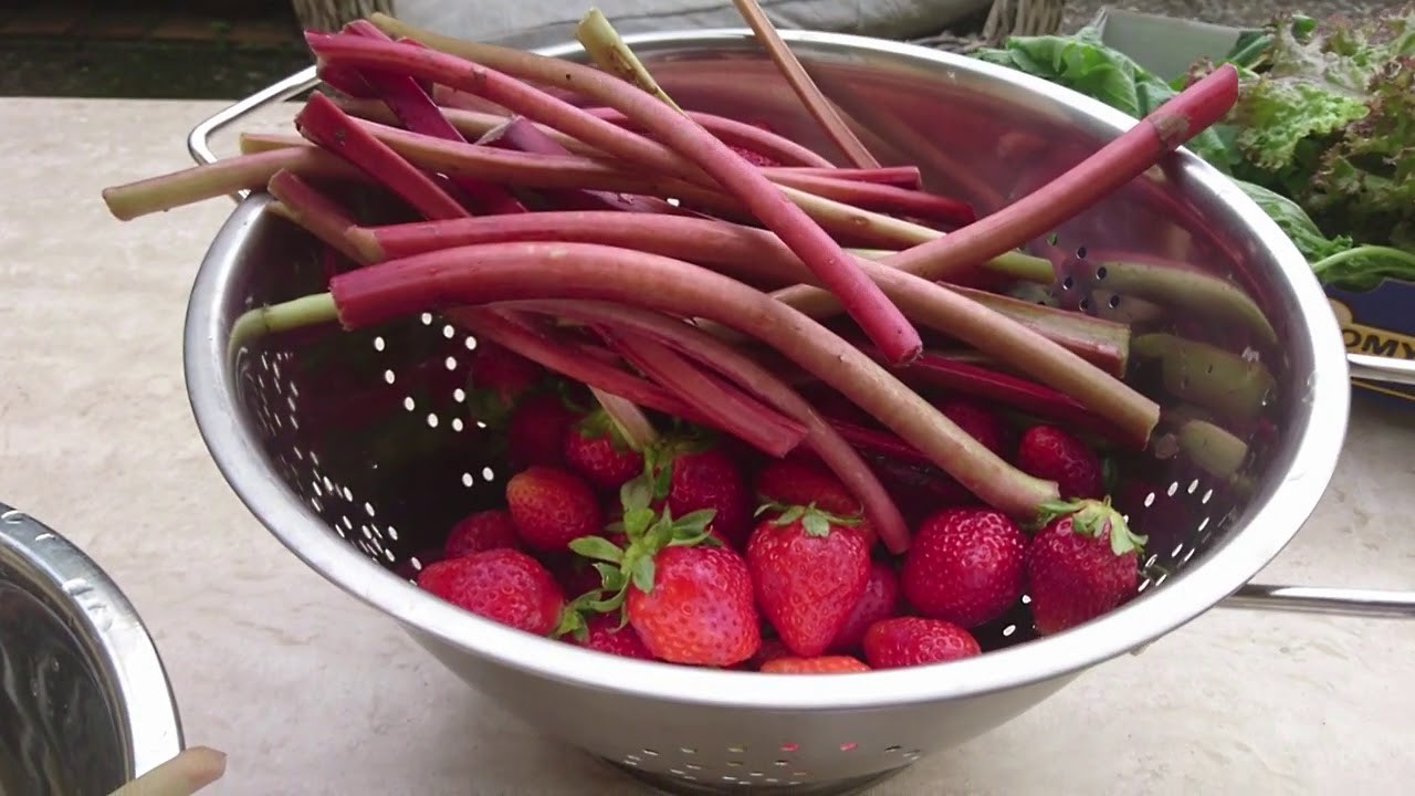 [vlog] Erdbeer-Rhabarbermarmelade, The return of the King und ein bisschen Gemüsegarten :)