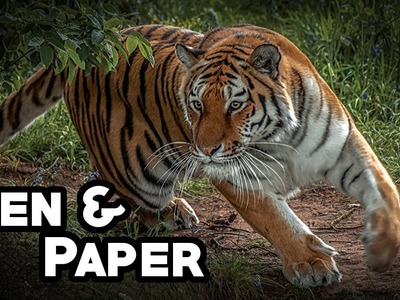 Pen & Paper: Das Geheimnis des gelben Hauses (Teil 2)