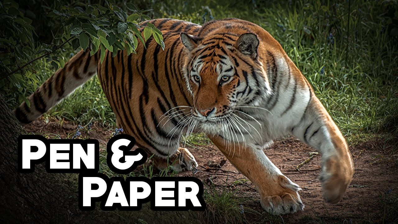 Pen & Paper: Das Geheimnis des gelben Hauses (Teil 2)