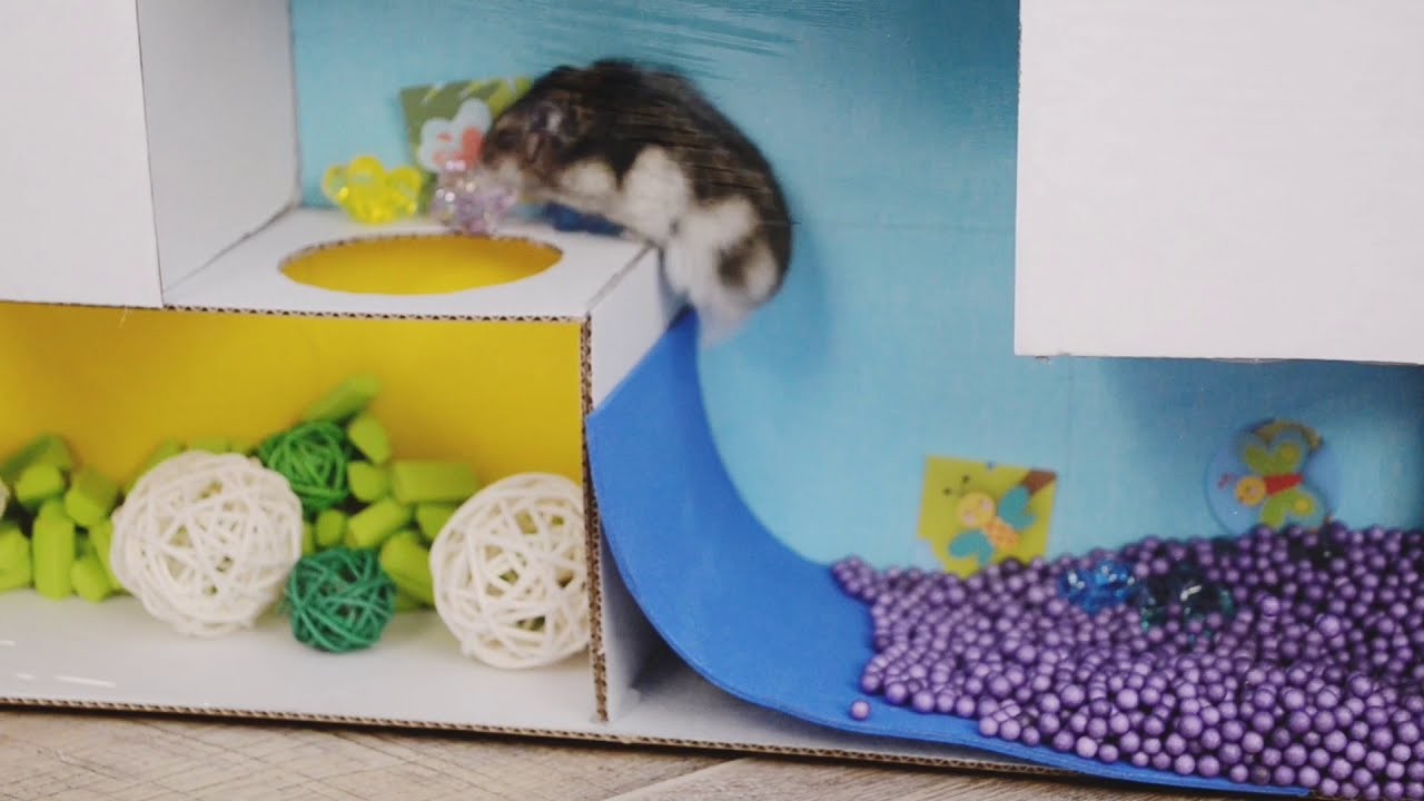 DIY. my funny hamster in the maze TETRIS. хомяк в лабиринте Tetris