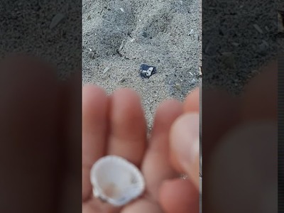 18. Juli 2020 weisse wiek boltenhagen