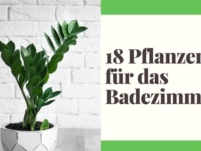 18 Pflanzen für das Badezimmer - Die besten Pflanzen große und kleine Badezimmer