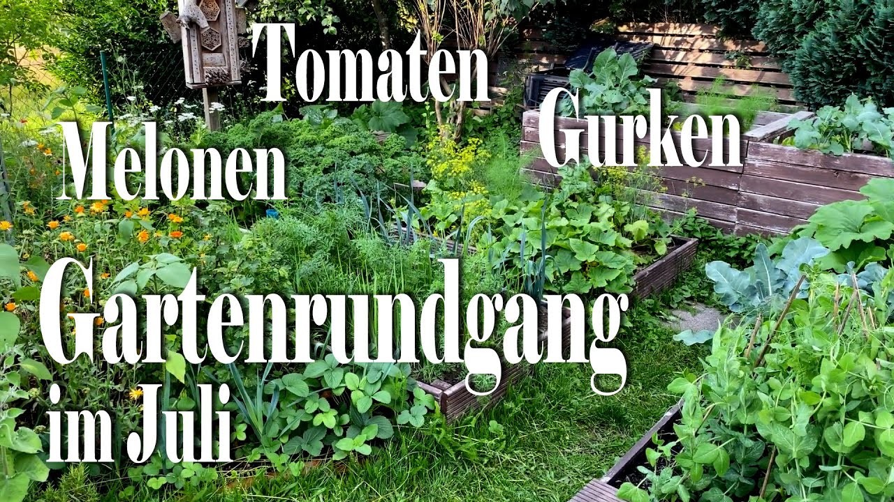 Großer GARTENRUNDGANG Juli 2020 Gewächshaus & Hochbeete. Tomaten. Gurken. Melone. Chili
