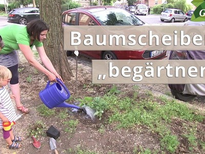 Baumscheiben mit Pflanzen beleben | MDR