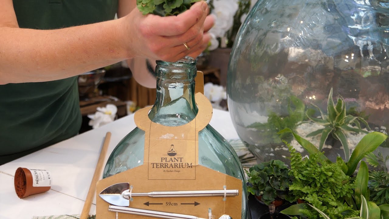 DIY - Flaschengarten: Buddelschiff für Pflanzen - Terrarium für Pflanzen