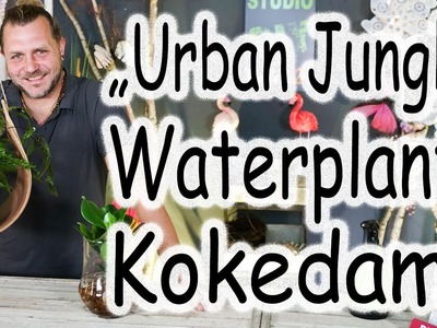 DIY: Kokedama | Water Plants | Zimmerpflanzen dekorieren | Urban Jungle Trend