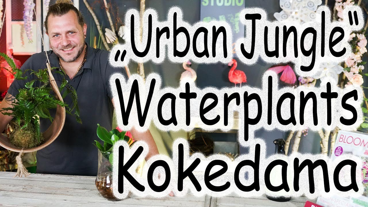 DIY: Kokedama | Water Plants | Zimmerpflanzen dekorieren | Urban Jungle Trend