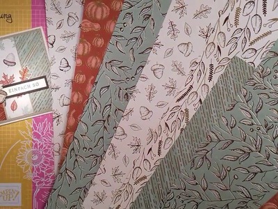 Einfache und schnelle Karte zum Katalogstart - Stampin'Up! für Groß und Klein