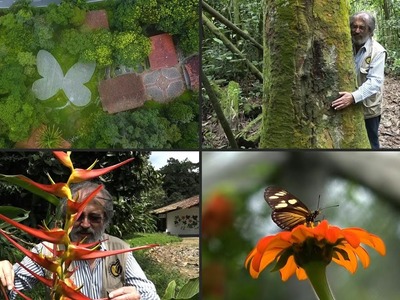 In Quarantäne im botanischen Garten | AFP