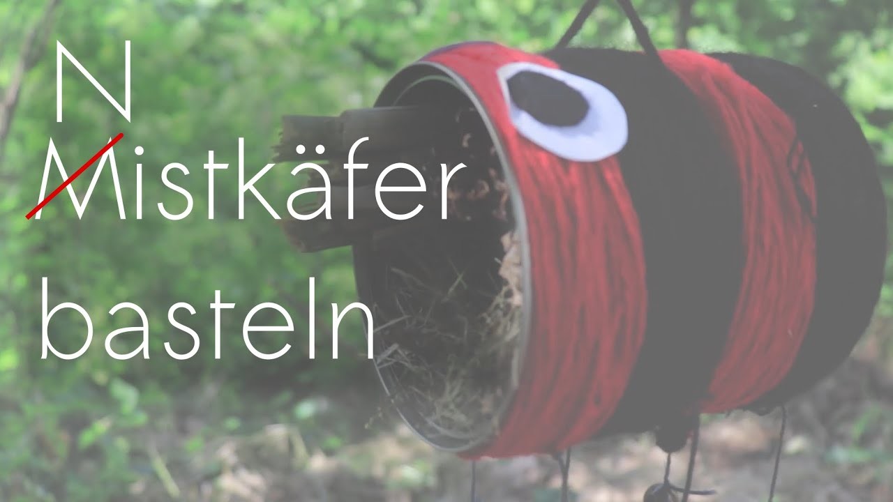 Nistkäfer basteln