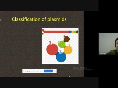 Plasmids