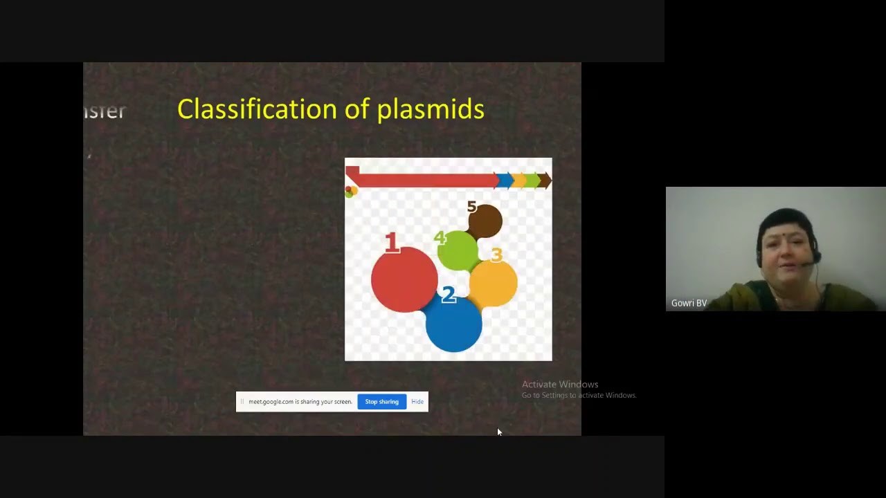 Plasmids