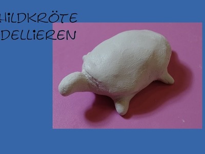 Schildkröte modellieren