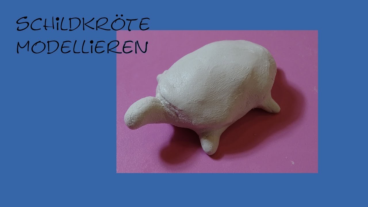 Schildkröte modellieren