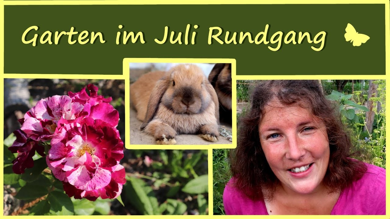 Selbstversorger Garten im Juli │ Gartenrundgang