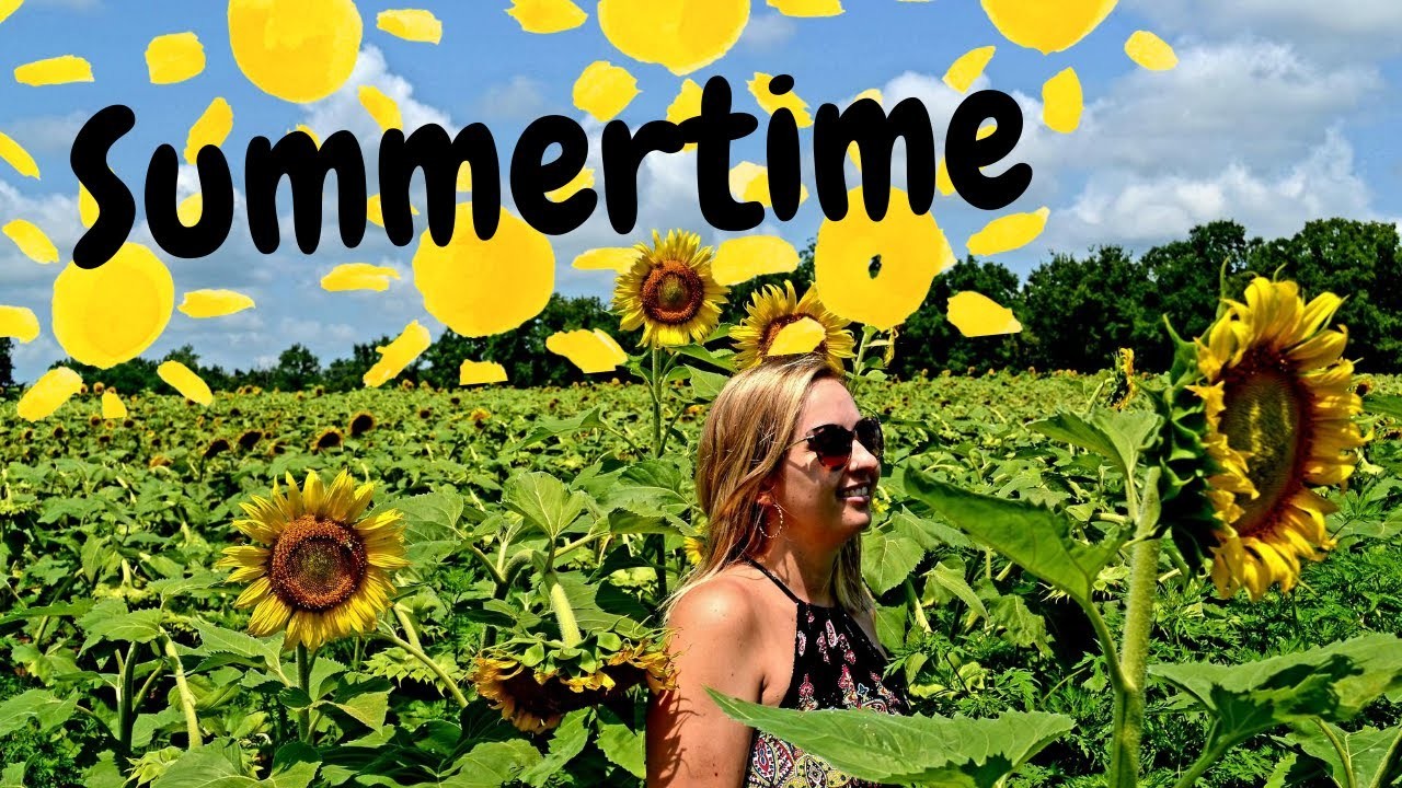 ???? Sonnenblumenfeld in Maryland | USA VLOG | Follow me around