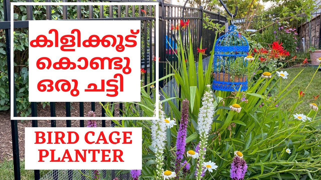 എളുപ്പത്തിൽ ഉണ്ടാക്കാം ഈ Plant Pot DIY Malayalam|Container Garden Malayalam|Garden craft Malayalam