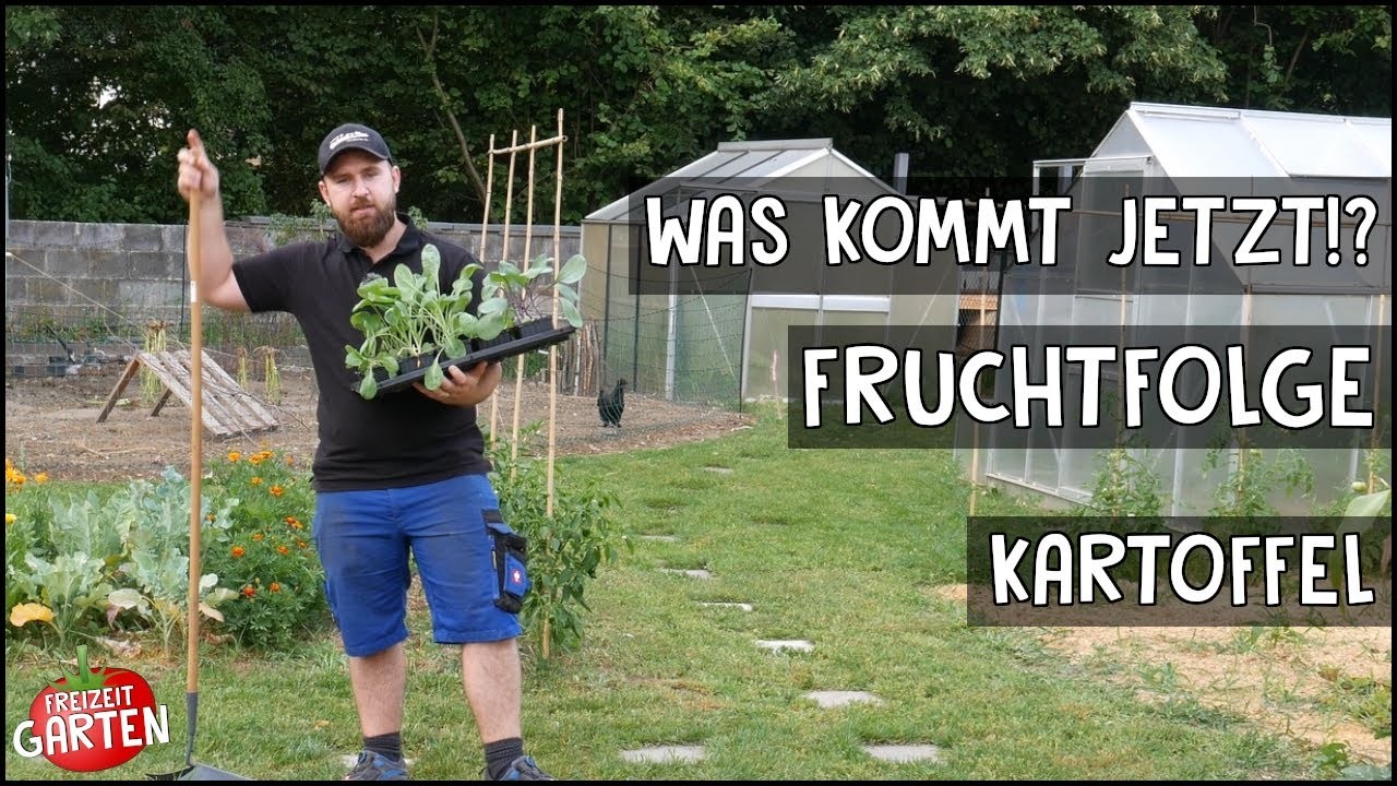 Was kommt jetzt!? | Fruchtfolge Kartoffeln! | Freizeit Garten