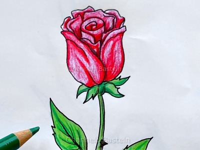 Malen lernen: Rose - Blumen zeichnen lernen für Anfänger mit Bleistift & Buntstiften  ????