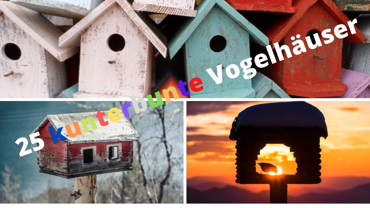 DIY 25 Kunterbunte Vogelhausideen für deinen Garten