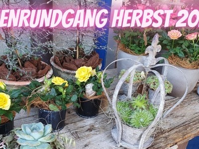 Herbsttrends 2020 - Ladenrundgang - Blumenladen Flora Line