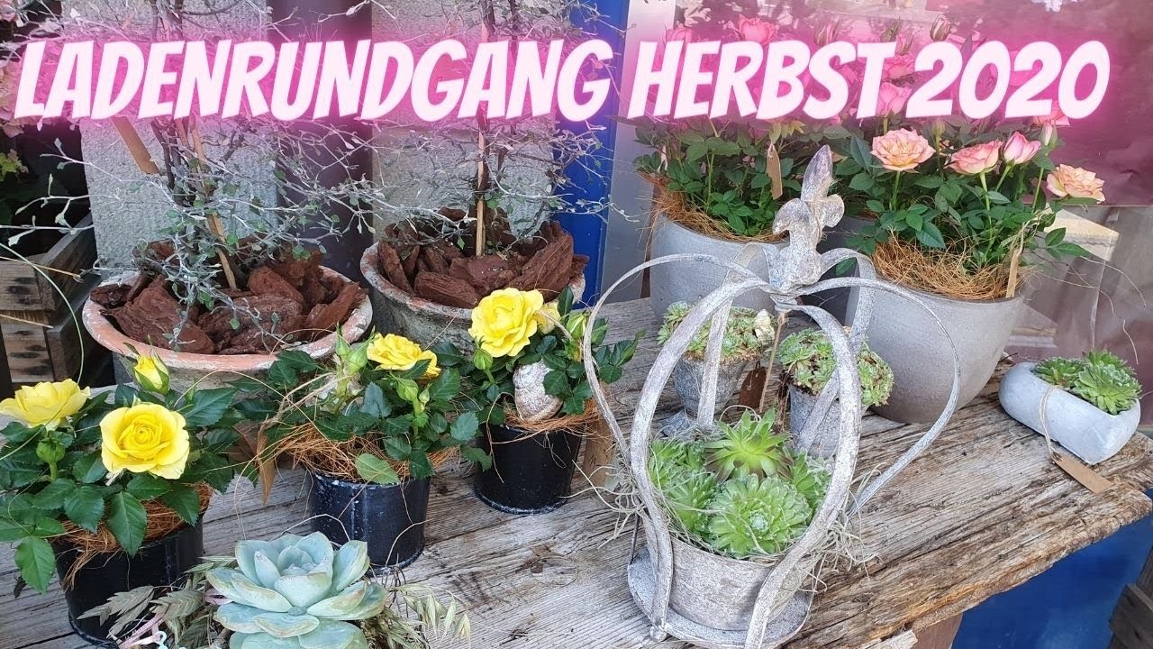 Herbsttrends 2020 - Ladenrundgang - Blumenladen Flora Line