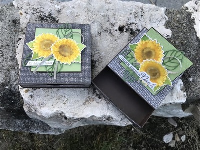 Popup Ziehverpackung Sonnenblume