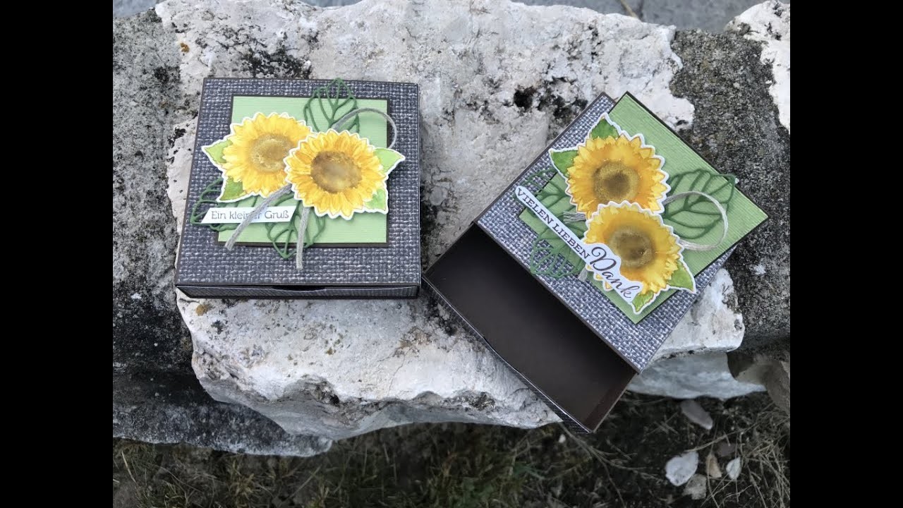 Popup Ziehverpackung Sonnenblume