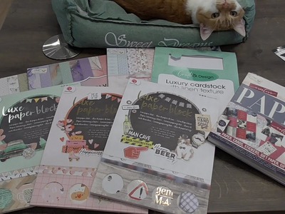 ACTION Haul + VERLOSUNG!  Endlich Action: Beauty, Basteln und mehr, mit Kater Sammy ????