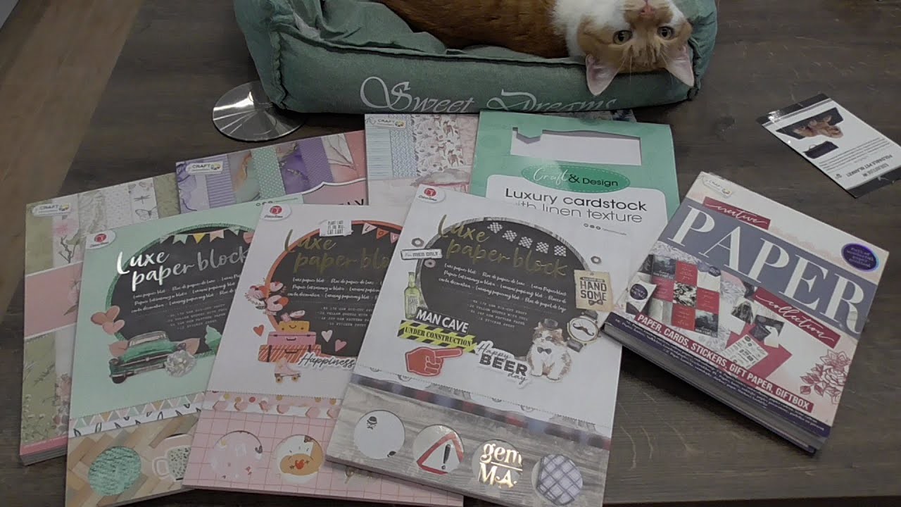 ACTION Haul + VERLOSUNG!  Endlich Action: Beauty, Basteln und mehr, mit Kater Sammy ????