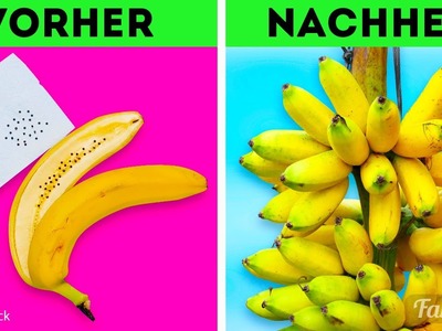 Das Einmaleins des heimischen Gartens: Früchte und Gemüse einfach aus Saatgut anbauen