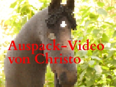 Hobbyhorse Auspack-Video