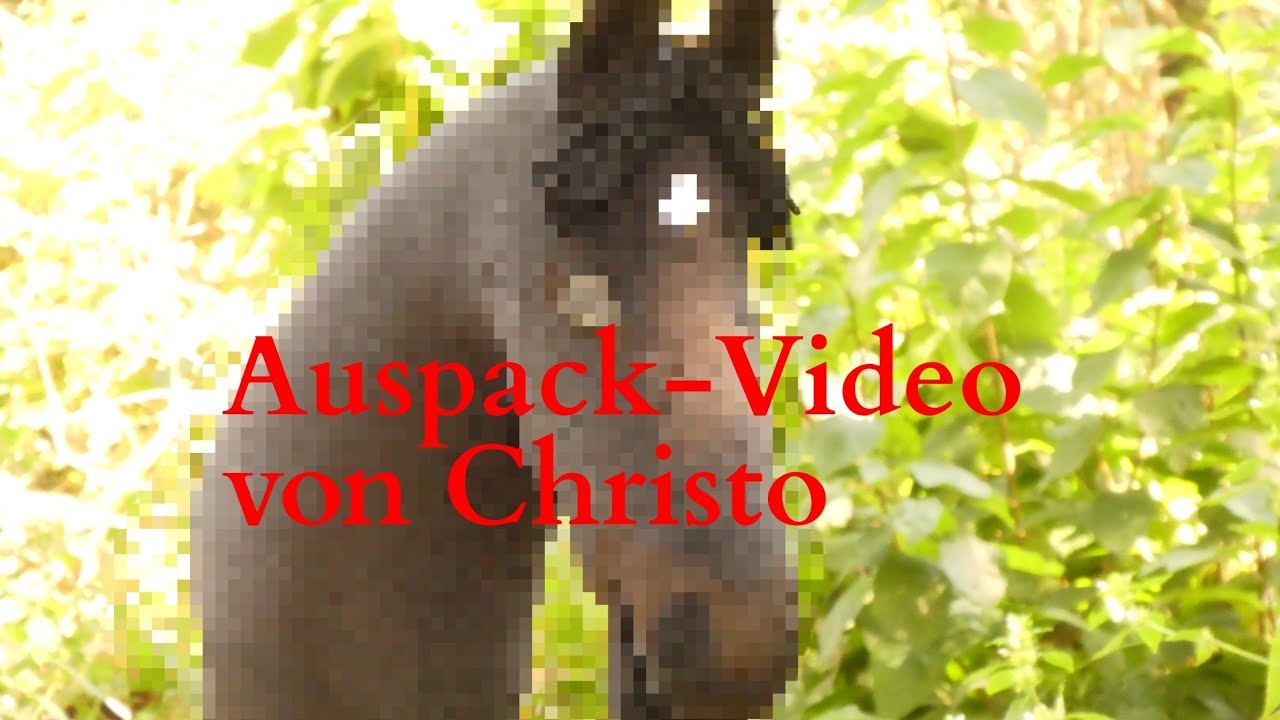 Hobbyhorse Auspack-Video