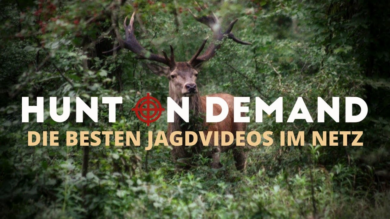 Hunt on Demand - die besten Jagdfilme im Netz!