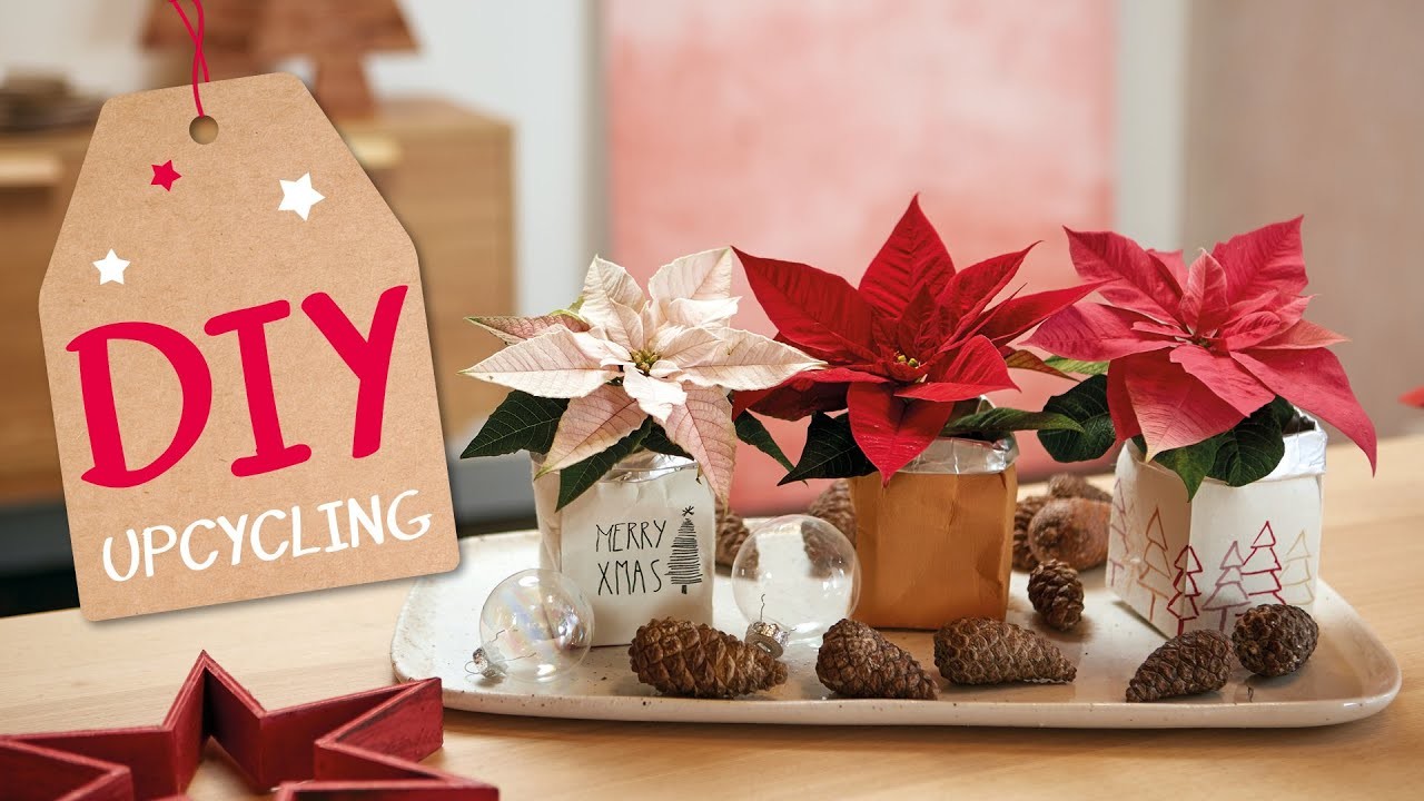 DIY-Last-Minute-Weihnachtsgeschenk mit Weihnachtssternen | Upcycling mit Getränkekartons