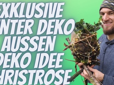 Exklusive WInter Deko Idee vor dem Haus zum selber machen  - DIY Anleitung 3 Bein Christrosen Deko