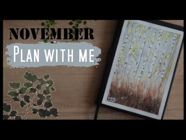 Plan with me NOVEMBER | Bullet Journal Set up BIRKENWALD | deutsch
