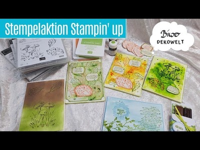 24 Stunden Stempelaktion Stampin' up und Dankeschön von Biggy !!!