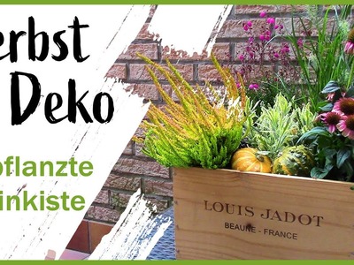 DIY - Herbstdeko l Holzkiste bepflanzen l Kürbisdeko