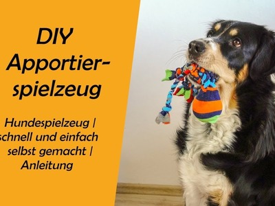 DIY Apportierspielzeug | Hundebeschäftigung | Hundespielzeug