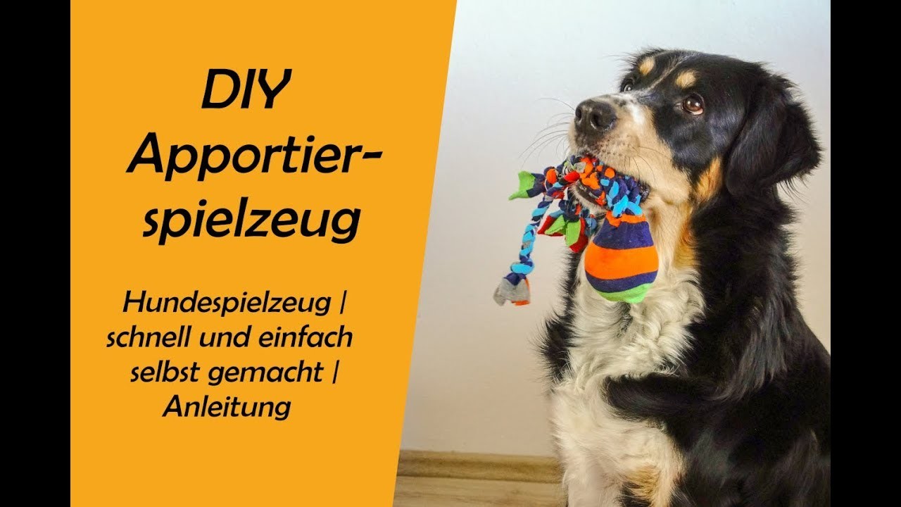 DIY Apportierspielzeug | Hundebeschäftigung | Hundespielzeug