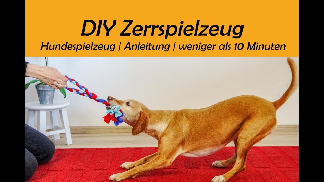 DIY Zerrspielzeug | Hundebeschäftigung | Hundespielzeug