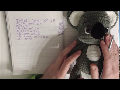 Koalabär Teil 1 Infovideo