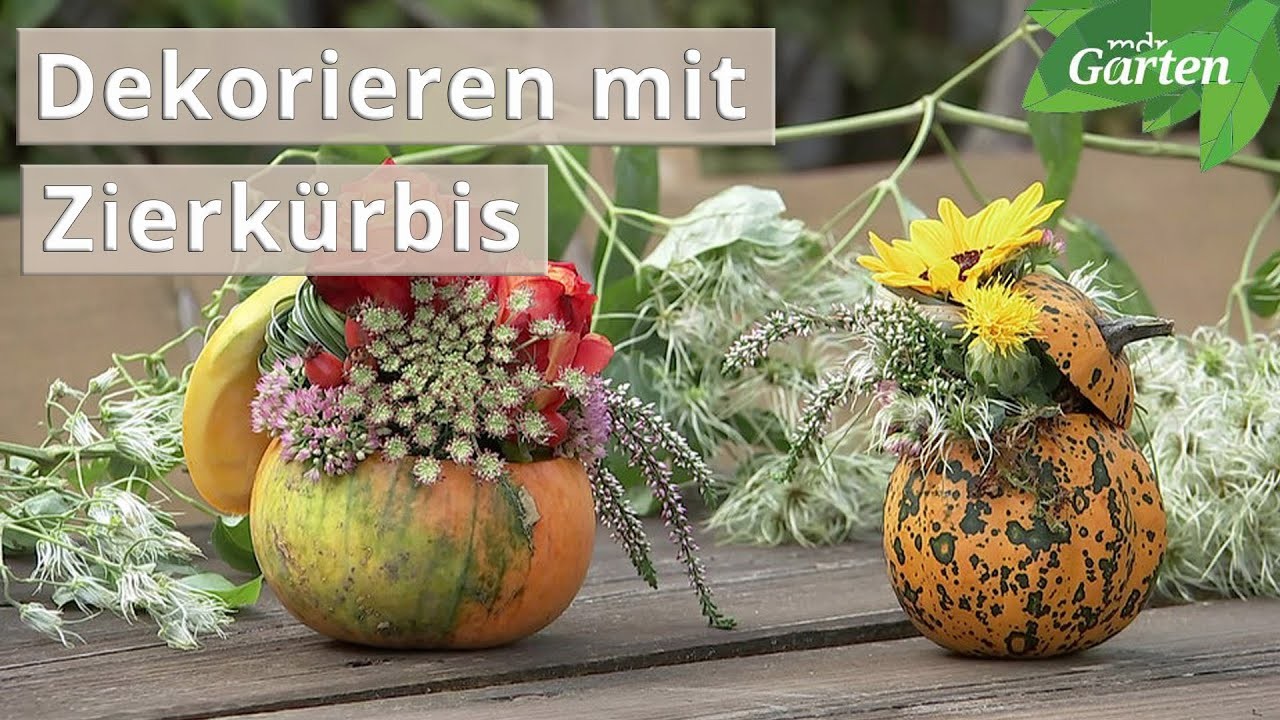 Zierkürbis als Tischdeko | MDR