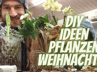 Livestream #207: Pflanzen für Weihnachten dekorieren DIY Inspiration Weihnachts Dekoration