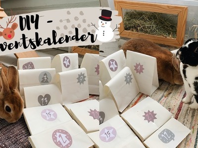 DIY Adventskalender für Kaninchen. Türchen 1 #tierzember2020