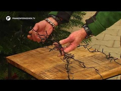 Gartenwelt Dauchenbeck - Blatt und Blüte Tipp: Weihnachtsbaum schmücken