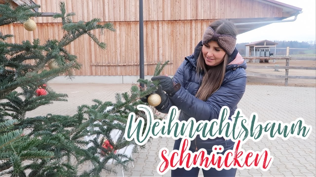 Am Pferdestall Weihachtsbaum schmücken